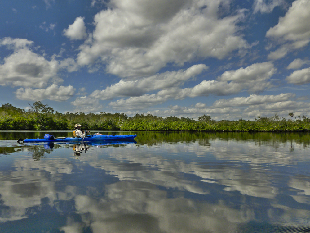 Featured image for Google Technology to Support South Florida Water Management District in Managing Critical Water Programs